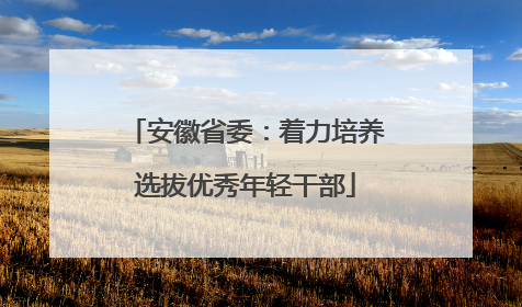 安徽省委：着力培养选拔优秀年轻干部