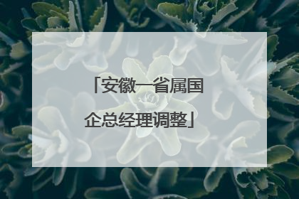 安徽一省属国企总经理调整