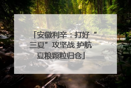 安徽利辛：打好“三夏”攻坚战 护航夏粮颗粒归仓