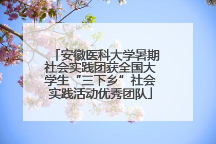 安徽医科大学暑期社会实践团获全国大学生“三下乡”社会实践活动优秀团队