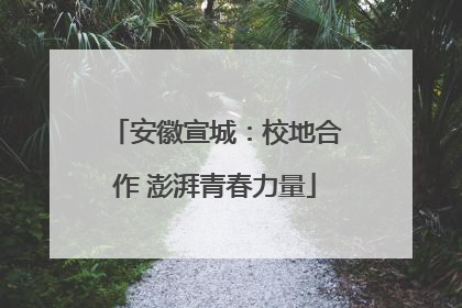 安徽宣城：校地合作 澎湃青春力量
