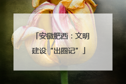 安徽肥西：文明建设“出圈记”