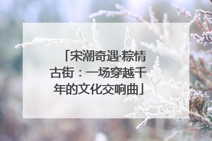 宋潮奇遇·粽情古街：一场穿越千年的文化交响曲