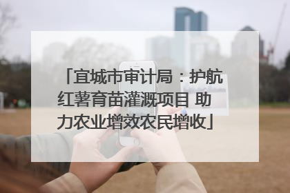 宜城市审计局：护航红薯育苗灌溉项目 助力农业增效农民增收
