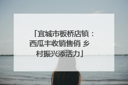 宜城市板桥店镇：西瓜丰收销售俏 乡村振兴添活力