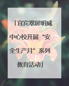 宜宾翠屏明威中心校开展“安全生产月”系列教育活动