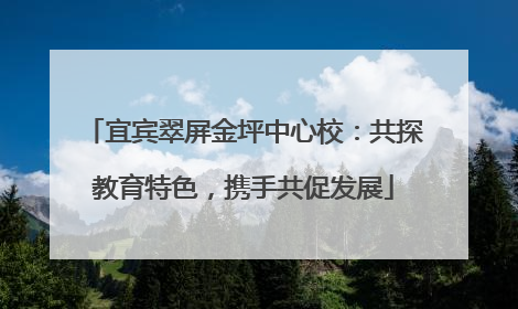 宜宾翠屏金坪中心校：共探教育特色，携手共促发展
