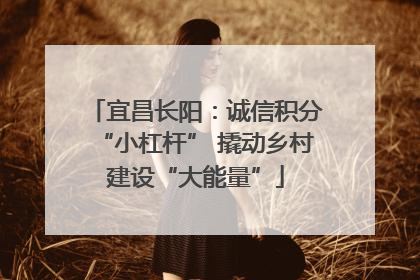 宜昌长阳：诚信积分“小杠杆” 撬动乡村建设“大能量”