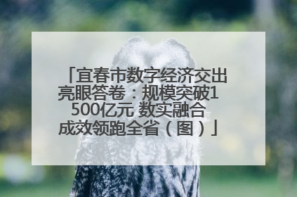宜春市数字经济交出亮眼答卷：规模突破1500亿元 数实融合成效领跑全省（图）