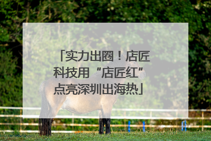 实力出圈！店匠科技用“店匠红”点亮深圳出海热