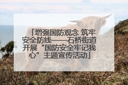 增强国防观念 筑牢安全防线——石桥街道开展“国防安全牢记我心”主题宣传活动