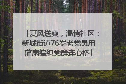 夏风送爽，温情社区：新城街道76岁老党员用蒲扇编织党群连心桥