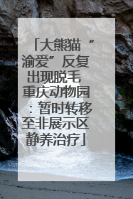 大熊猫“渝爱”反复出现脱毛 重庆动物园：暂时转移至非展示区静养治疗