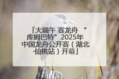 大端午 赛龙舟 “库姆巴特”2025年中国龙舟公开赛（湖北·仙桃站）开幕