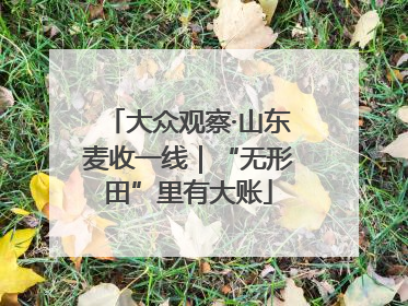 大众观察·山东麦收一线｜“无形田”里有大账