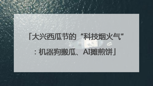 大兴西瓜节的“科技烟火气”：机器狗搬瓜、AI摊煎饼