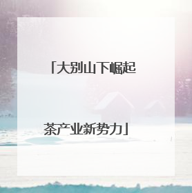 大别山下崛起茶产业新势力