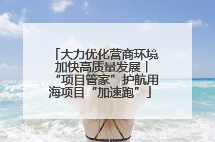 大力优化营商环境 加快高质量发展丨“项目管家”护航用海项目“加速跑”