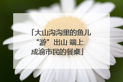 大山沟沟里的鱼儿 “游”出山 端上成渝市民的餐桌
