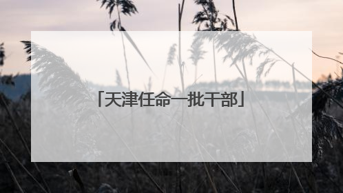 天津任命一批干部