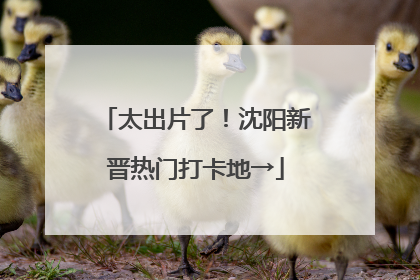 太出片了！沈阳新晋热门打卡地→