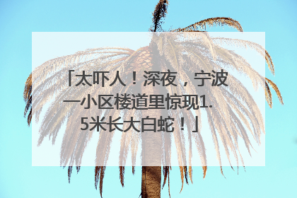 太吓人！深夜，宁波一小区楼道里惊现1.5米长大白蛇！