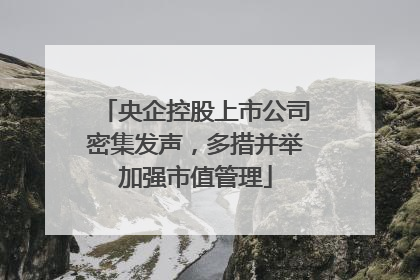 央企控股上市公司密集发声，多措并举加强市值管理
