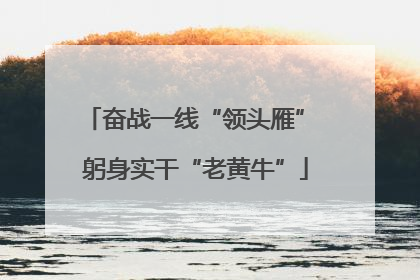 奋战一线“领头雁” 躬身实干“老黄牛”