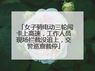 女子骑电动三轮闯卡上高速，工作人员现场拦截没追上，交警巡查截停