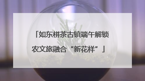 如东栟茶古镇端午解锁农文旅融合“新花样”