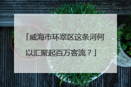 威海市环翠区这条河何以汇聚起百万客流？