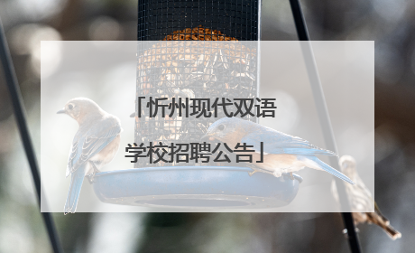 忻州现代双语学校招聘公告