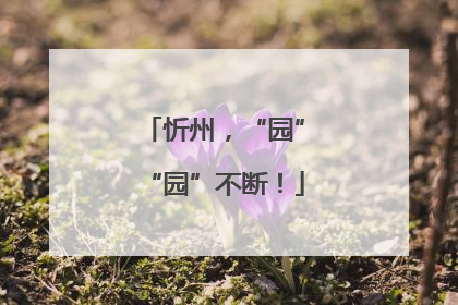 忻州，“园”“园”不断！