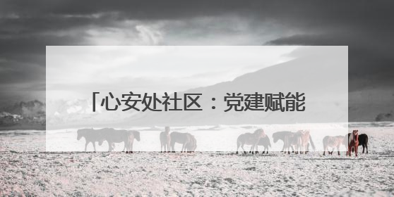 心安处社区：党建赋能 提升群众幸福指数