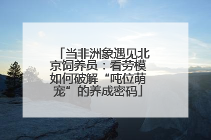 当非洲象遇见北京饲养员：看劳模如何破解“吨位萌宠”的养成密码