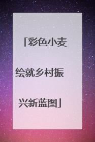 彩色小麦绘就乡村振兴新蓝图