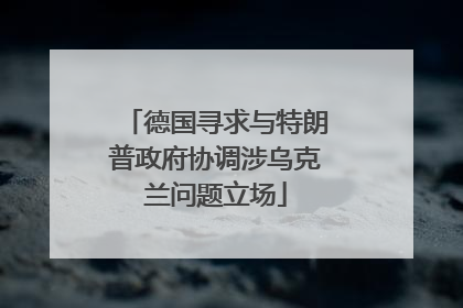 德国寻求与特朗普政府协调涉乌克兰问题立场