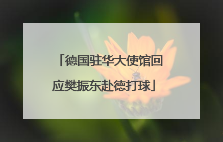 德国驻华大使馆回应樊振东赴德打球