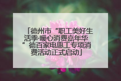 德州市“职工美好生活季·暖心消费嘉年华”德百家电惠工专项消费活动正式启动