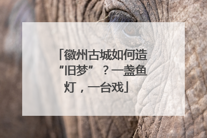 徽州古城如何造“旧梦”？一盏鱼灯，一台戏