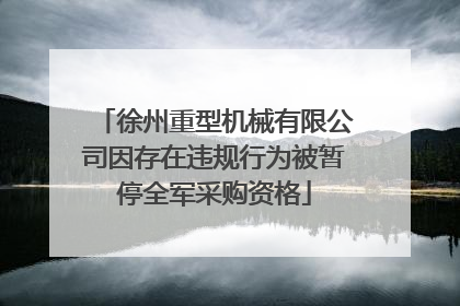 徐州重型机械有限公司因存在违规行为被暂停全军采购资格