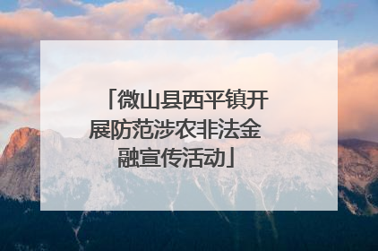 微山县西平镇开展防范涉农非法金融宣传活动