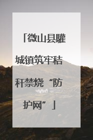 微山县驩城镇筑牢秸秆禁烧“防护网”
