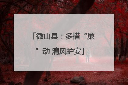 微山县：多措“廉”动 清风护安