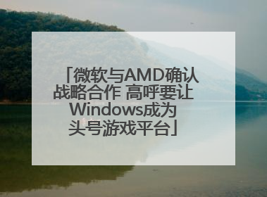 微软与AMD确认战略合作 高呼要让Windows成为头号游戏平台