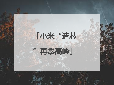 小米“造芯”再攀高峰