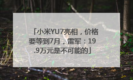 小米YU7亮相，价格要等到7月，雷军：19.9万元是不可能的