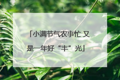 小满节气农事忙 又是一年好“丰”光