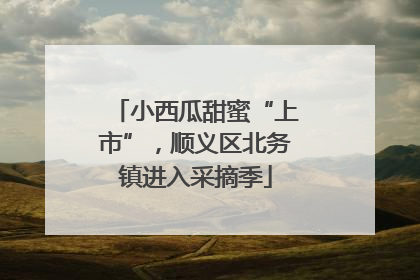 小西瓜甜蜜“上市”，顺义区北务镇进入采摘季