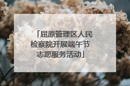屈原管理区人民检察院开展端午节志愿服务活动